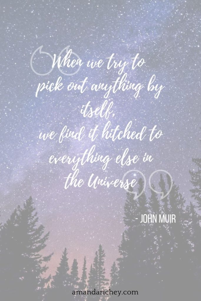 When we try to pick out anything by itself... by John Muir