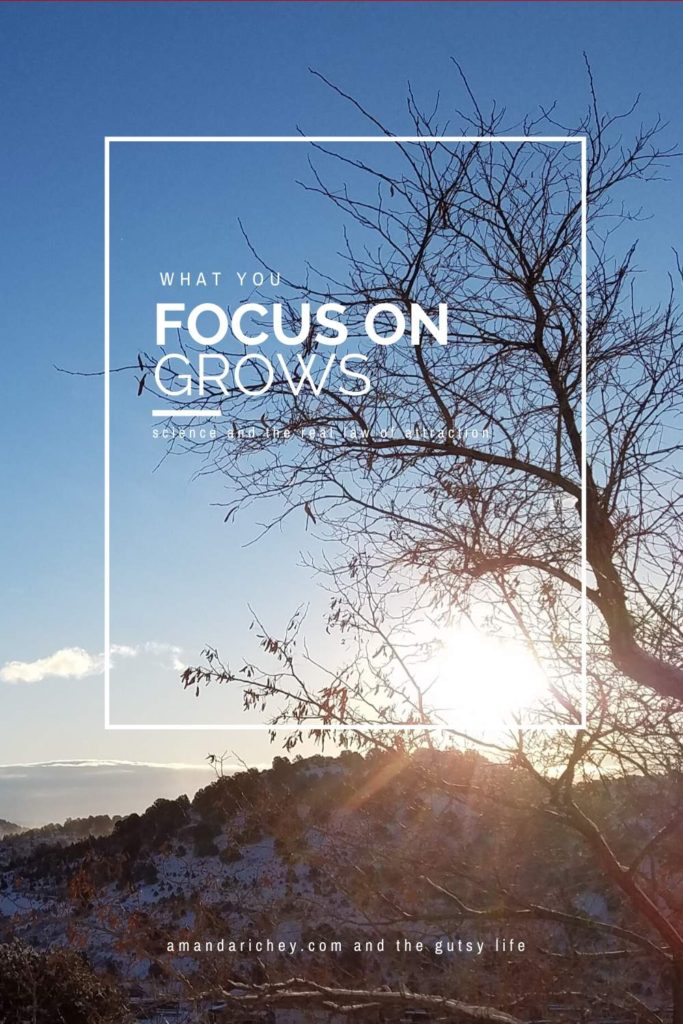 science and the law of attraction: what you focus on grows